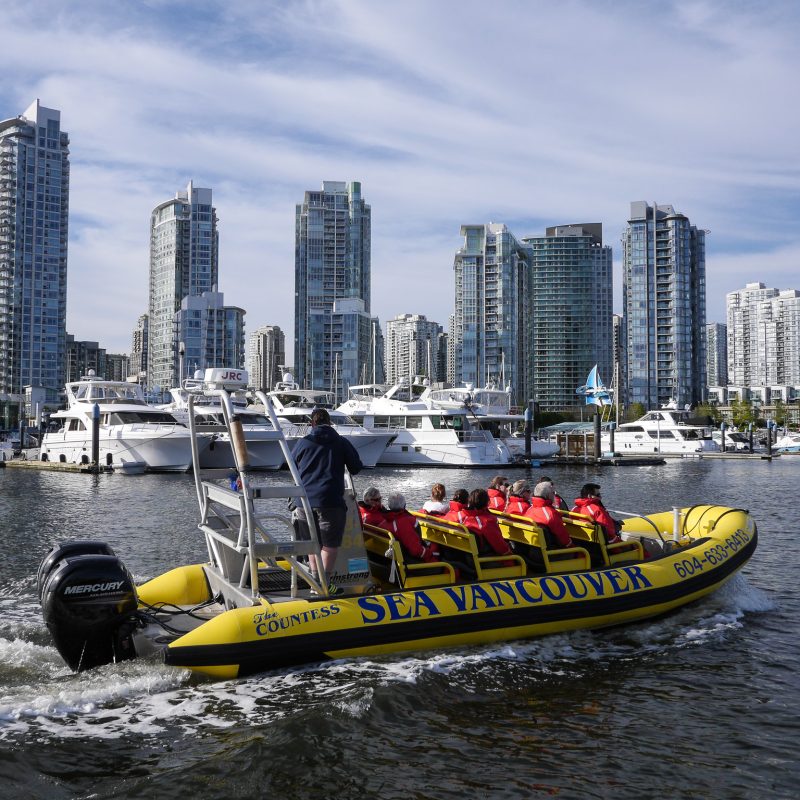Private City & Harbour Tour