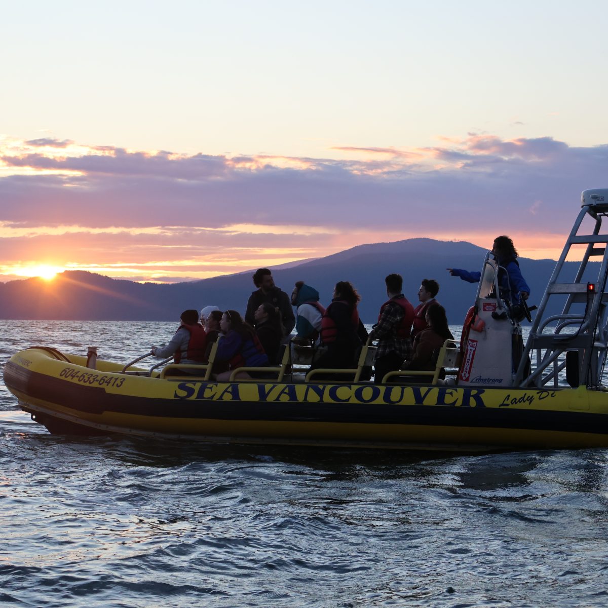 zodiac tour at sunset