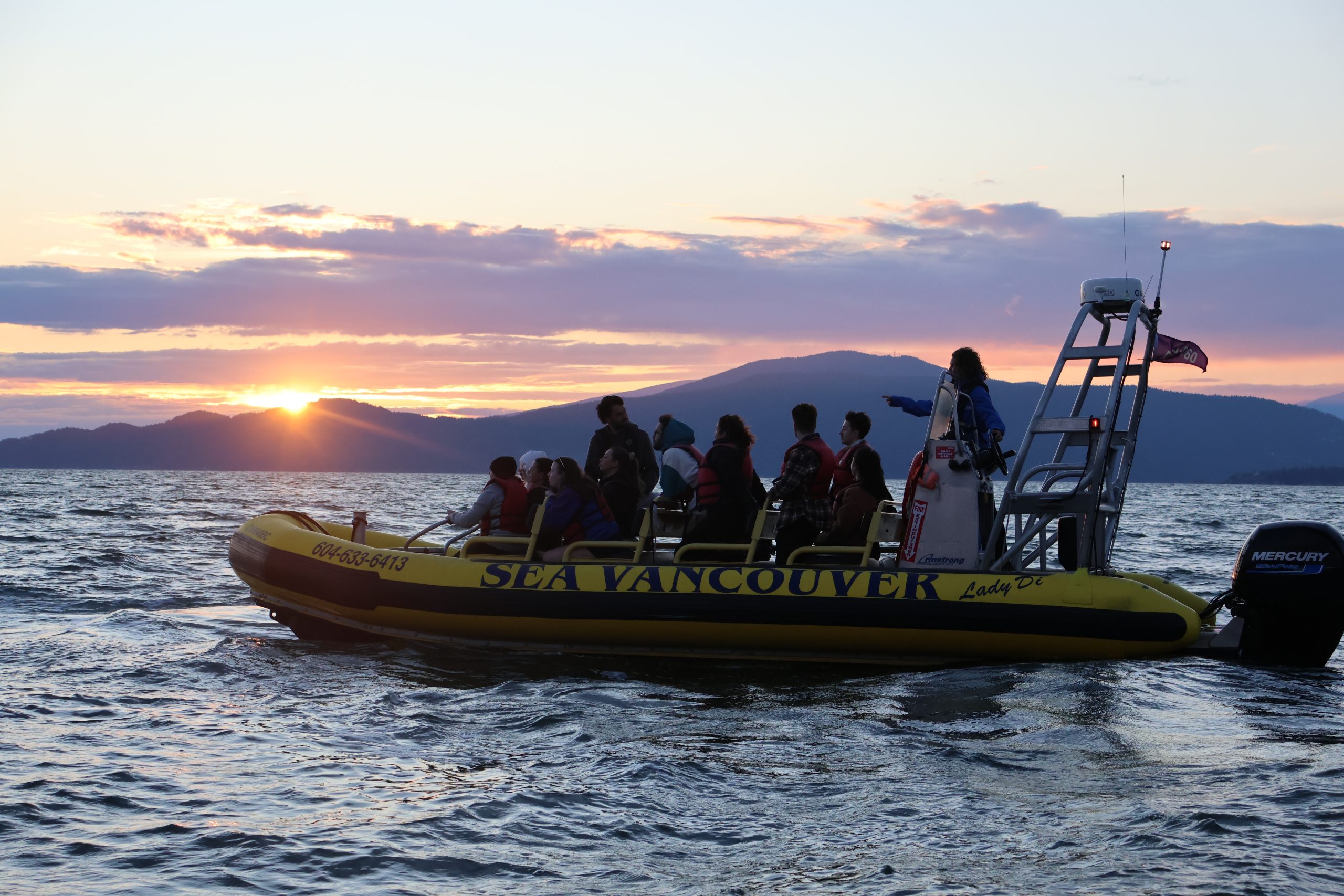 zodiac tour at sunset