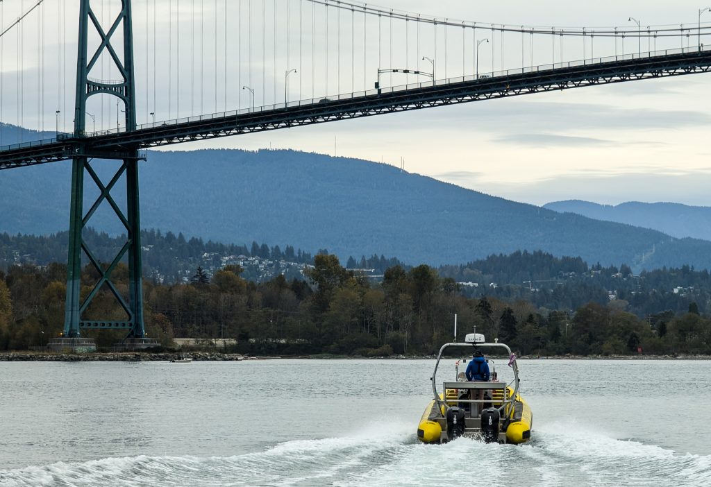 Lions Gate Bridge