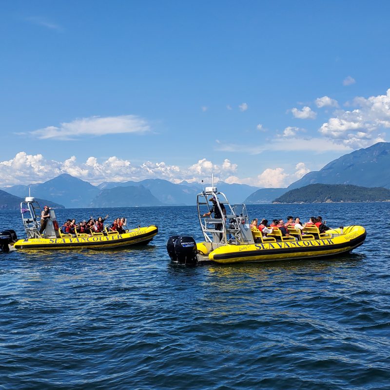 Boats together