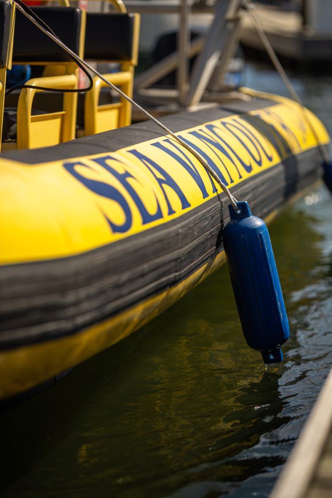 RHIB Boat