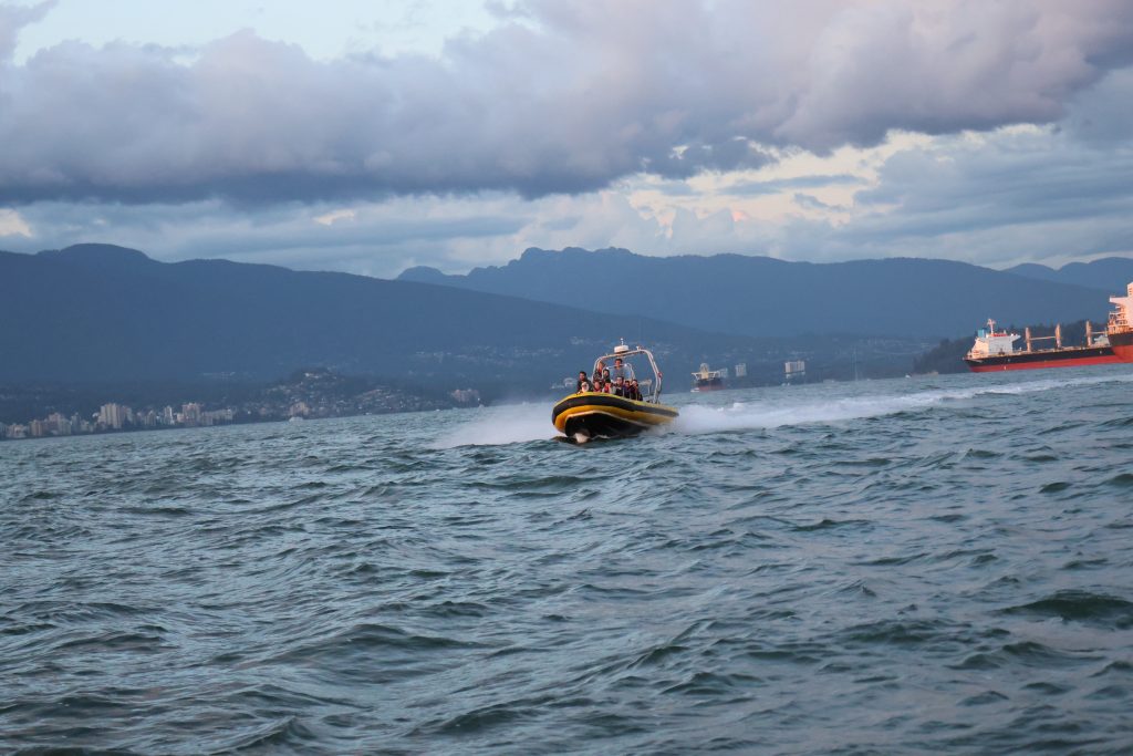 Cruising zodiac