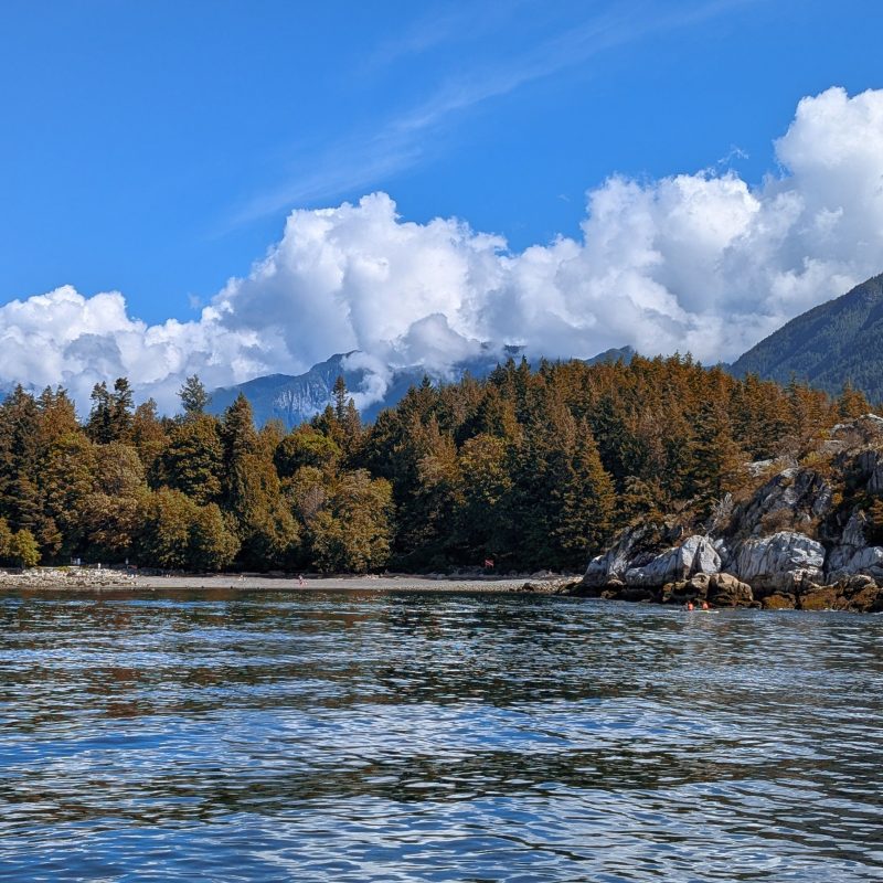 Fall in vancouver