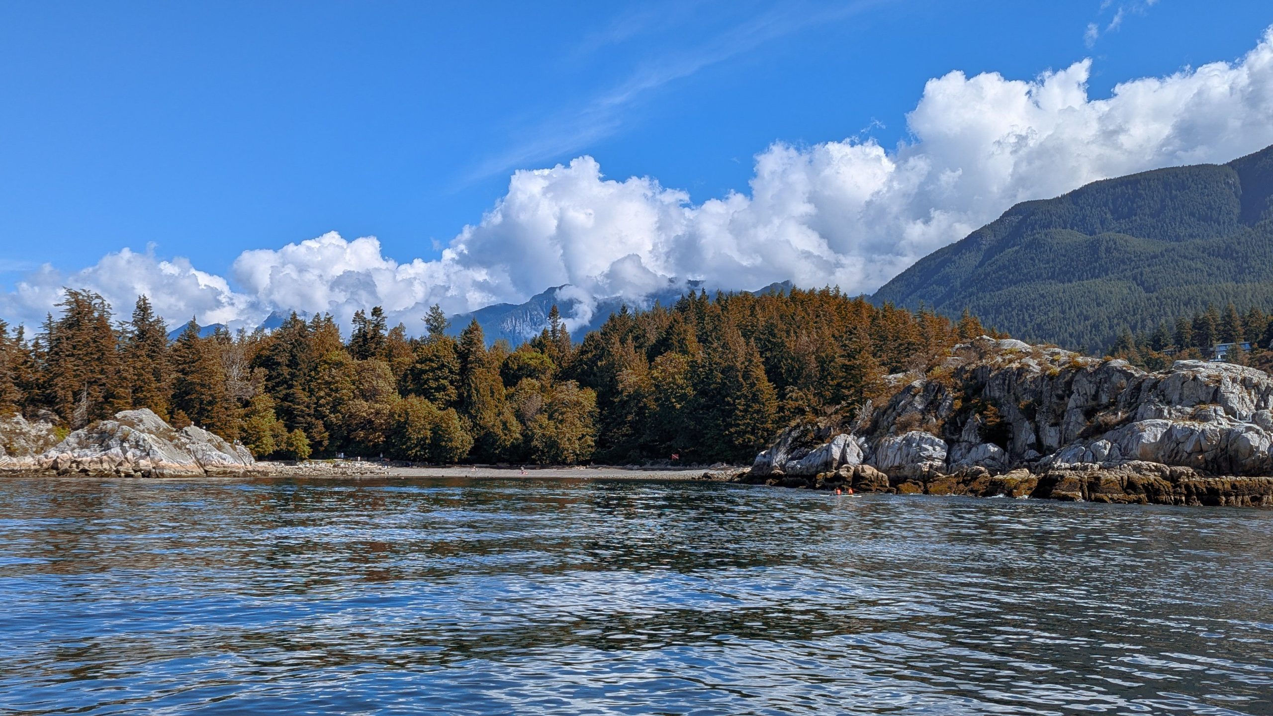 Fall in vancouver